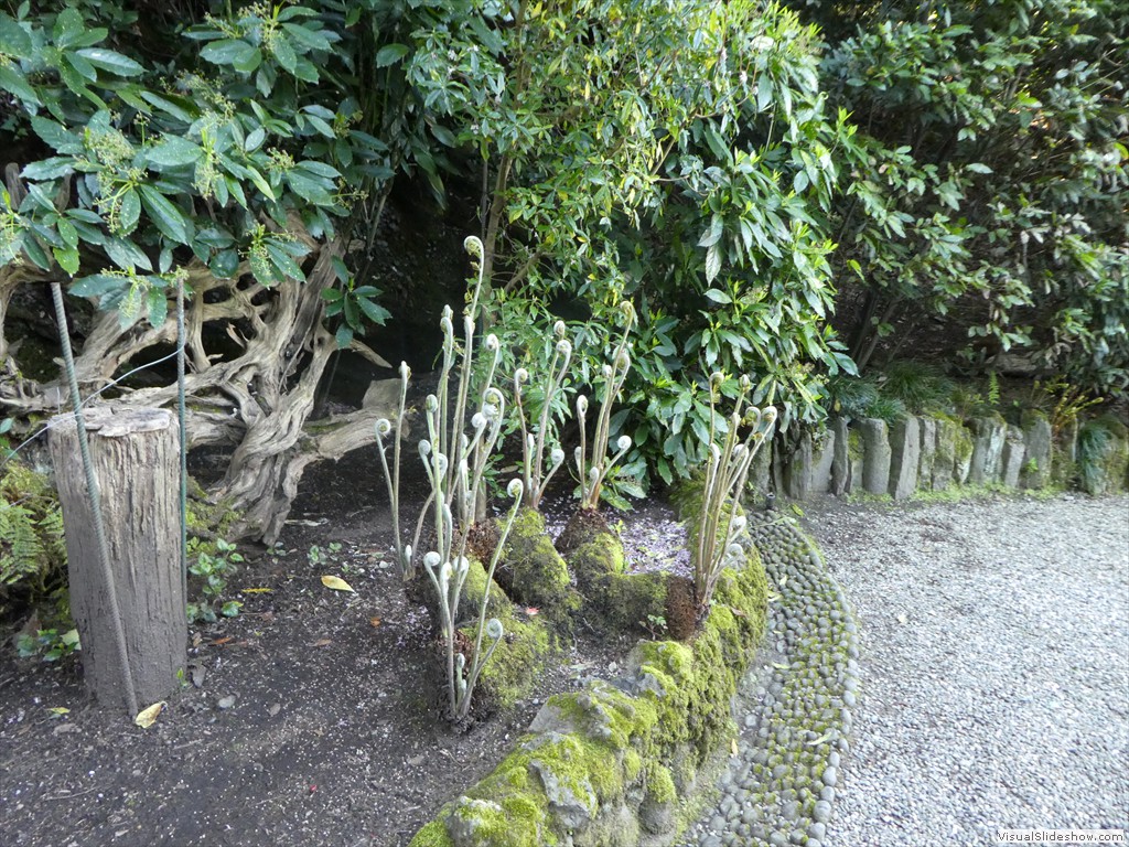 P1000706