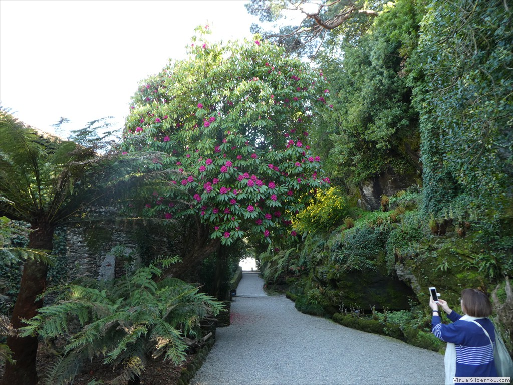 P1000707