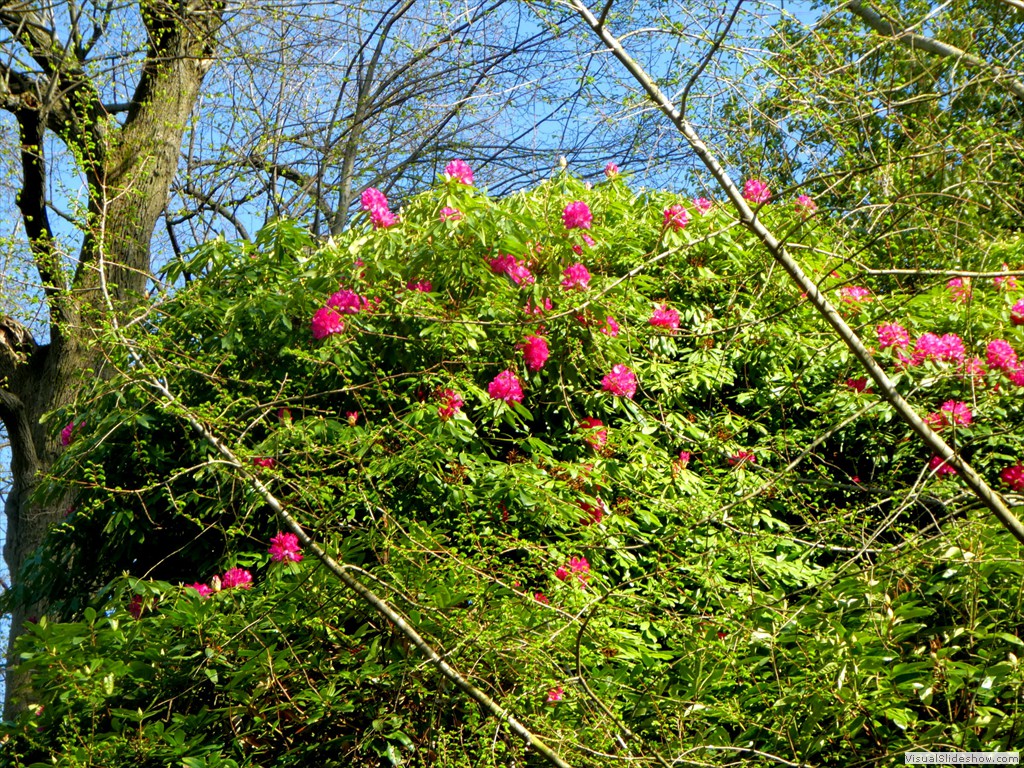 P1000714