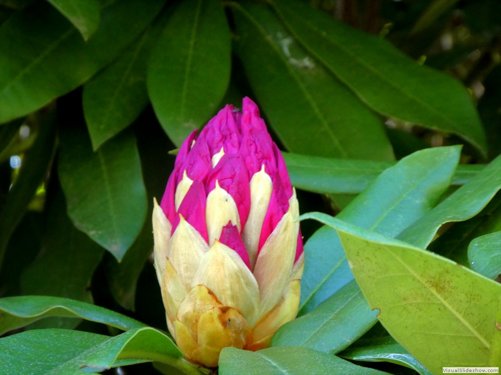P1000725