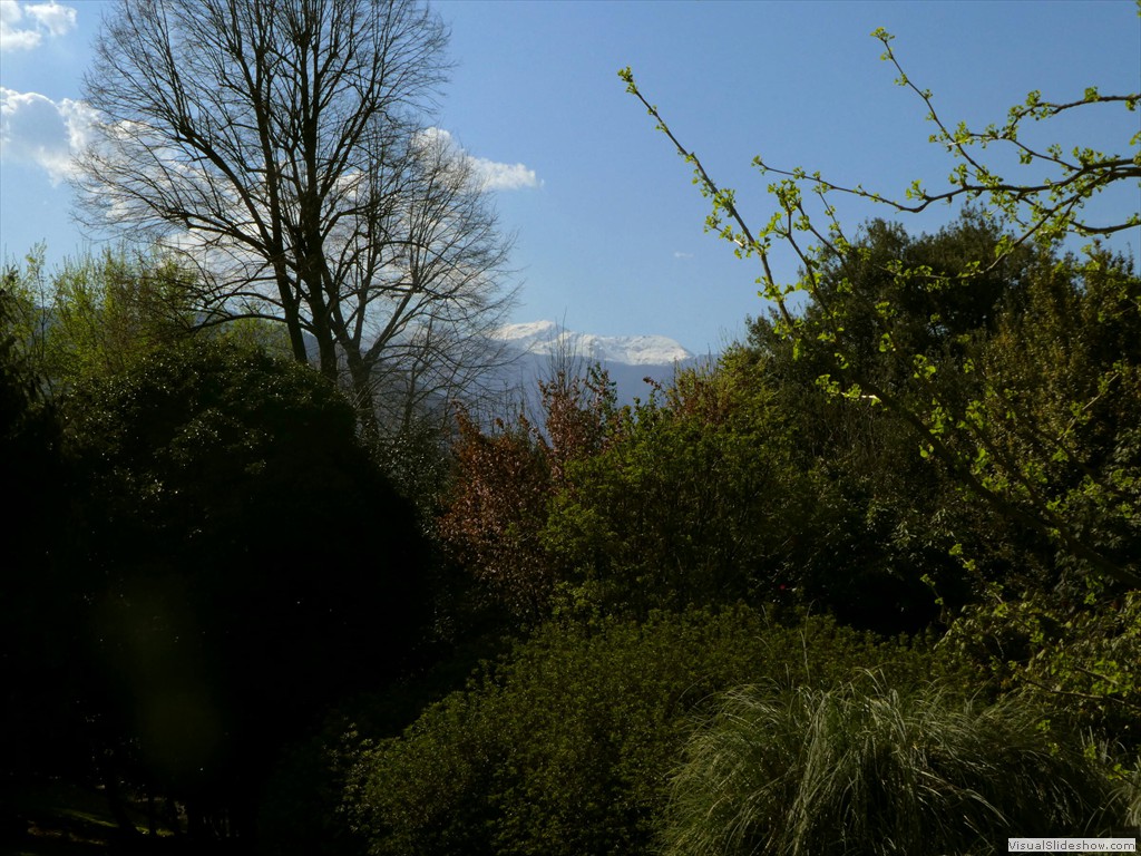 P1000730
