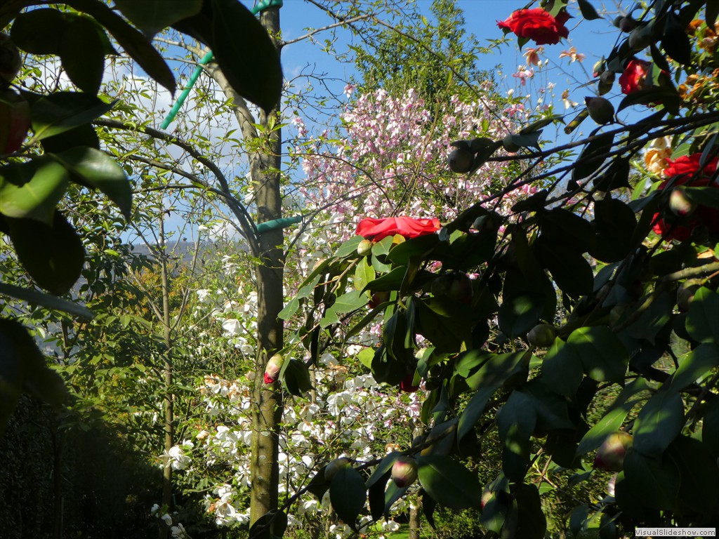 P1000733