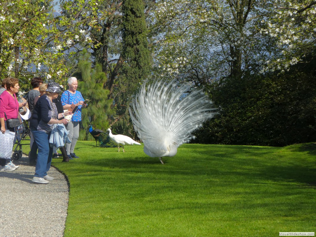 P1000736