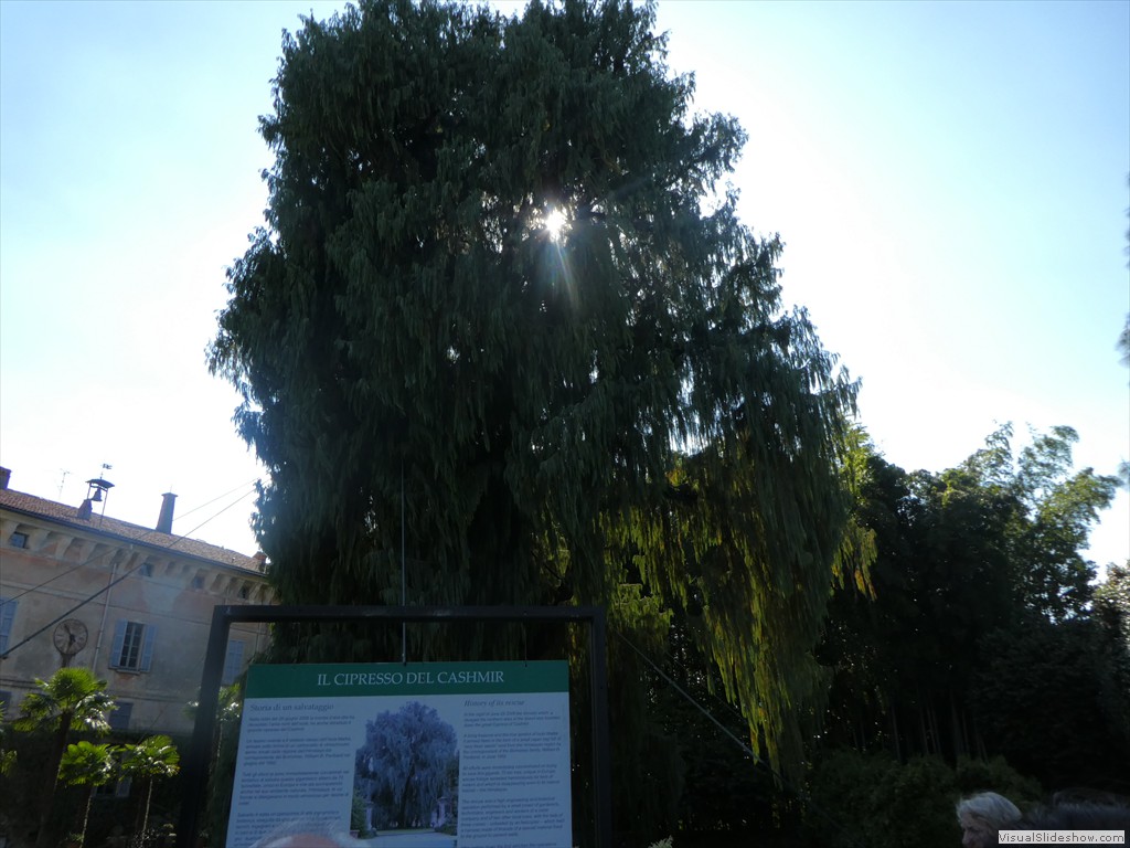 P1000747