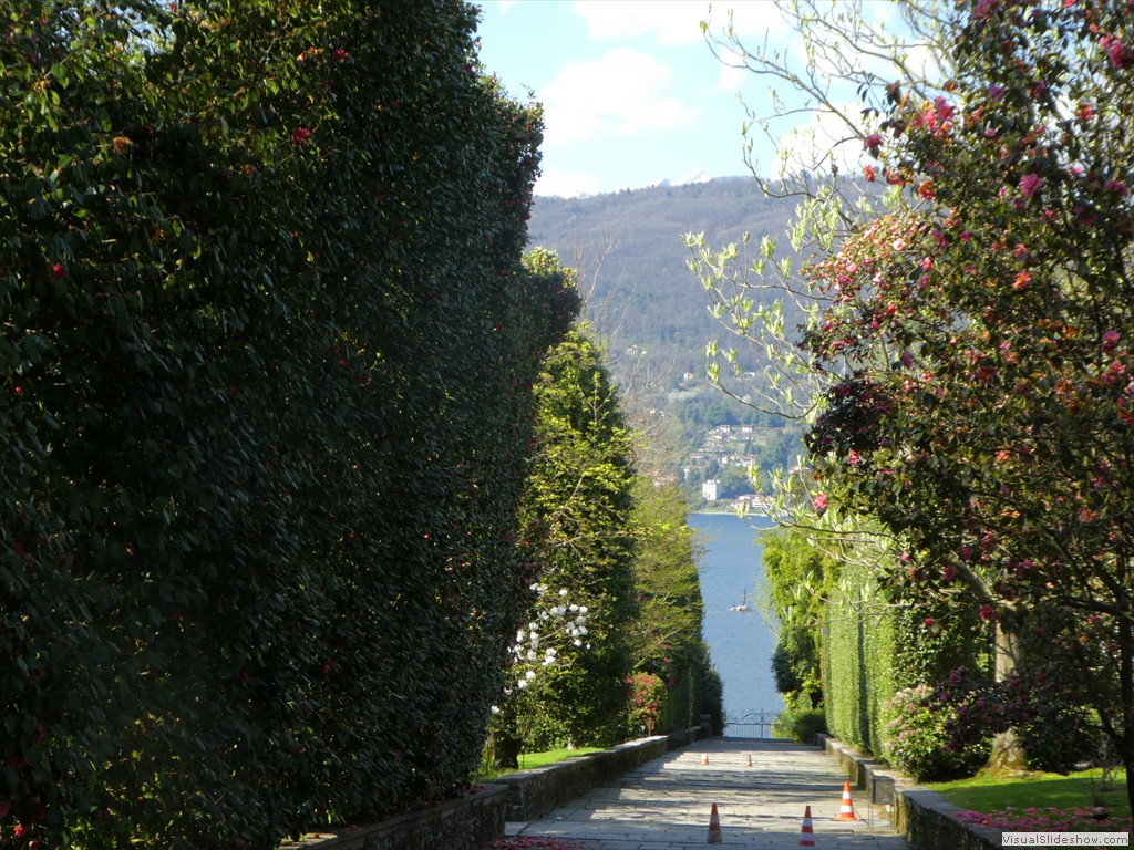 P1000749