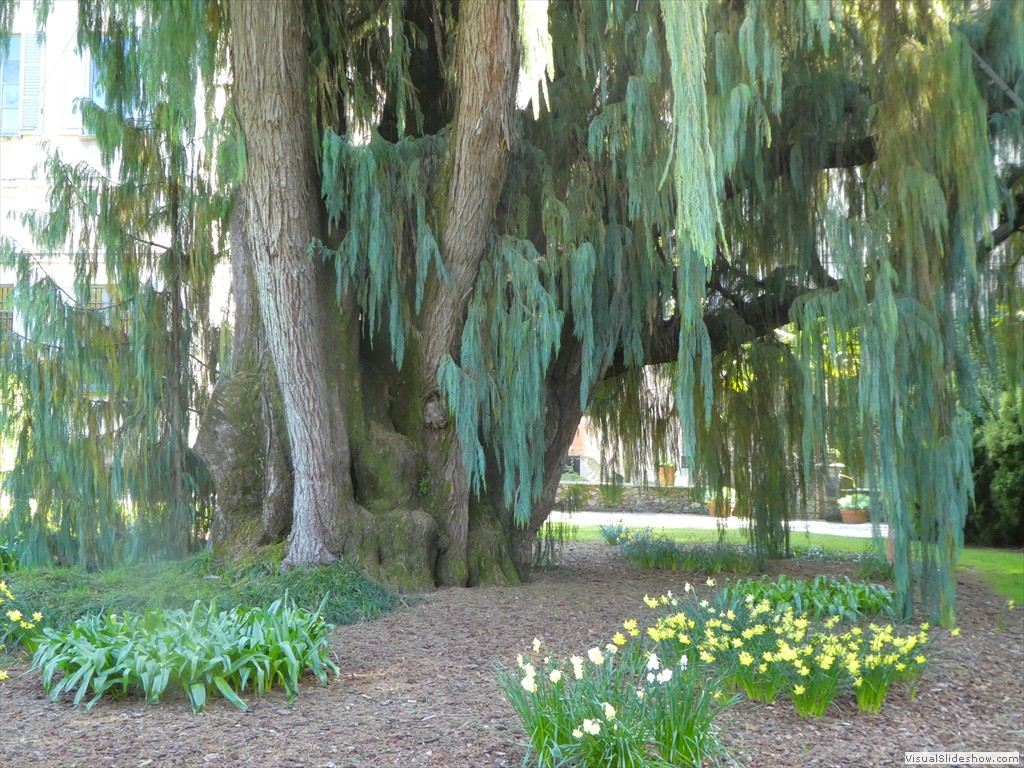 P1000750