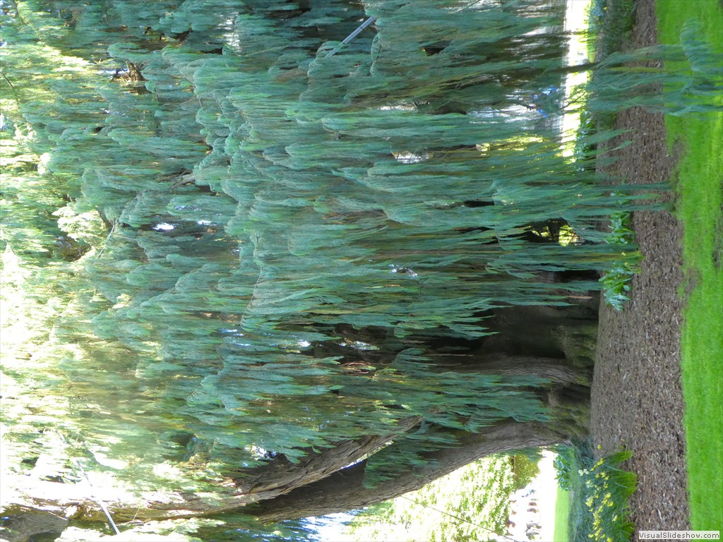 P1000753