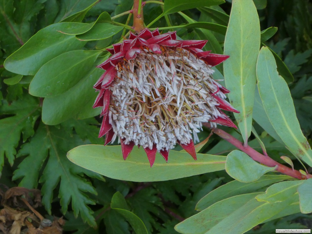 P1000775