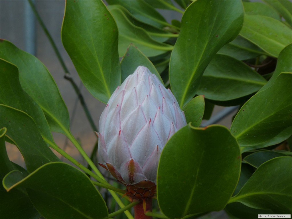 P1000776