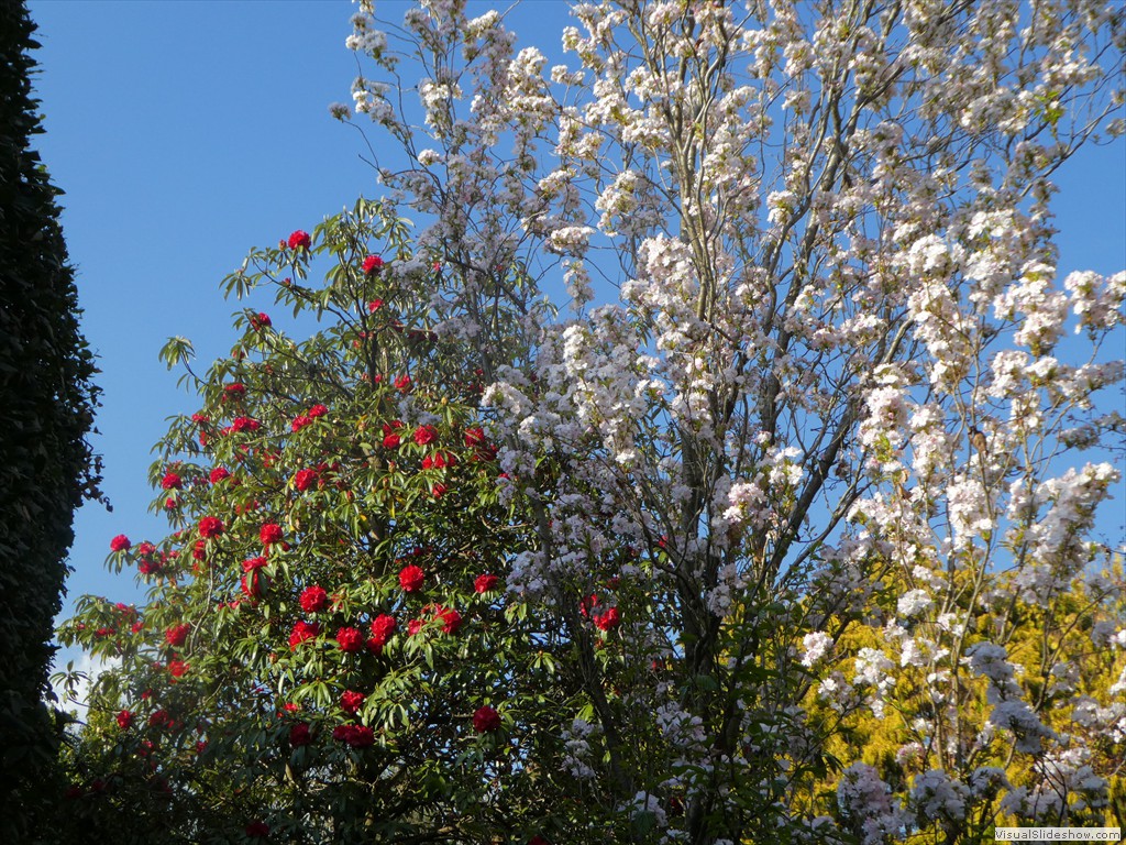 P1000778