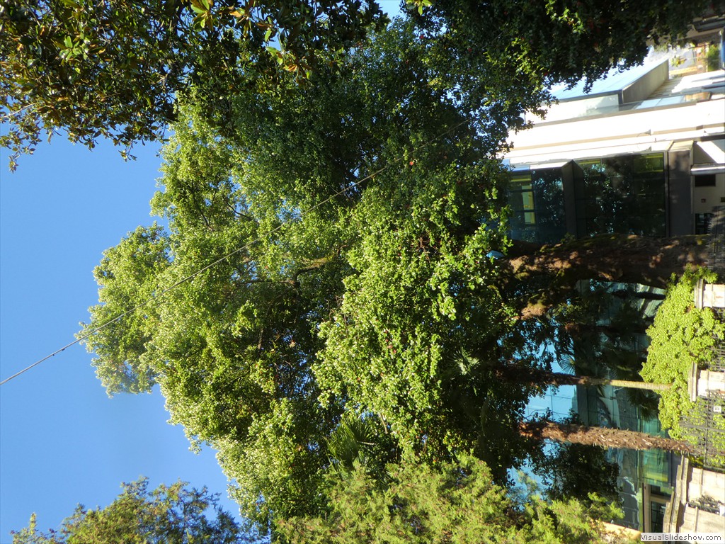 P1000780