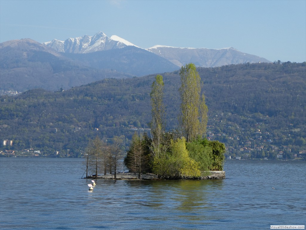 P1000811