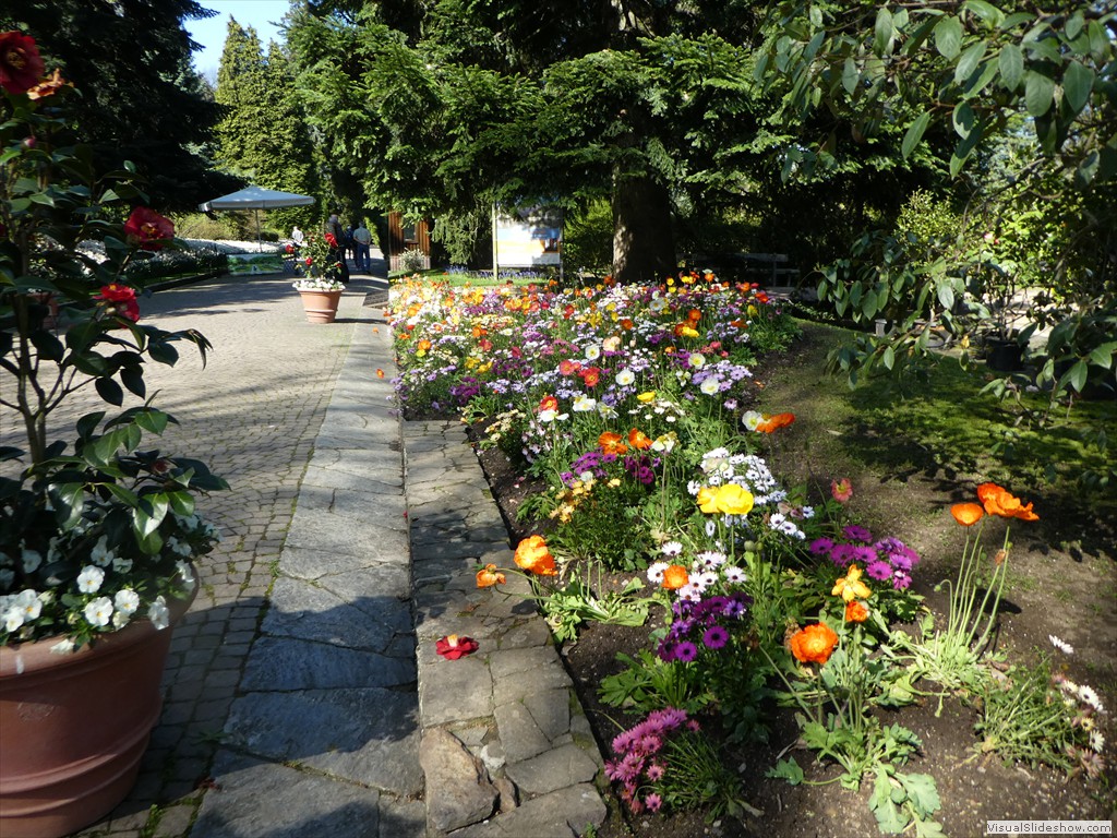 P1000835