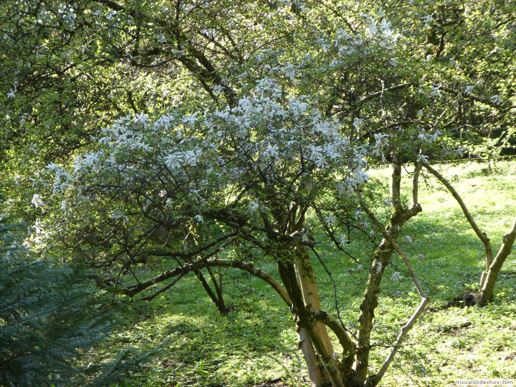 P1000840