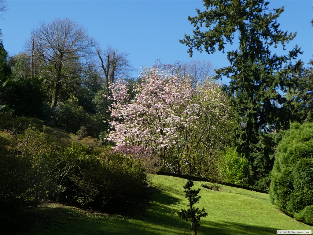 P1000841