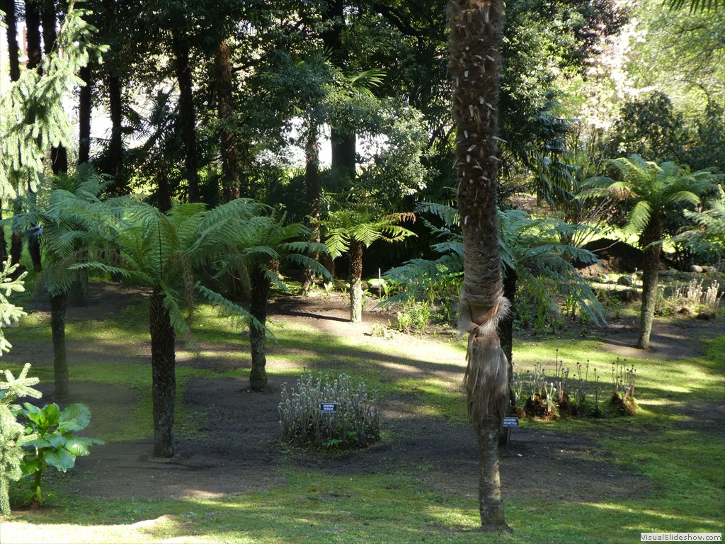 P1000842
