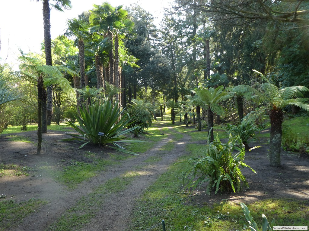 P1000848