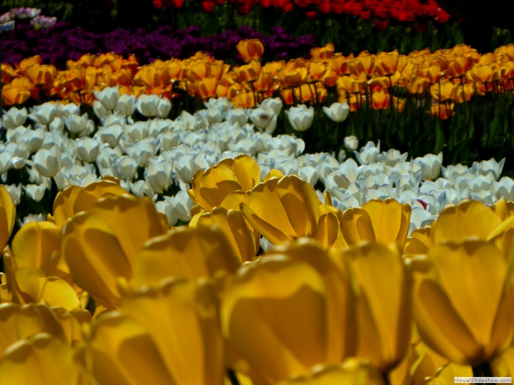 P1000866