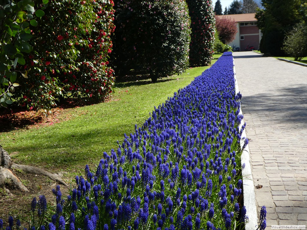 P1000871