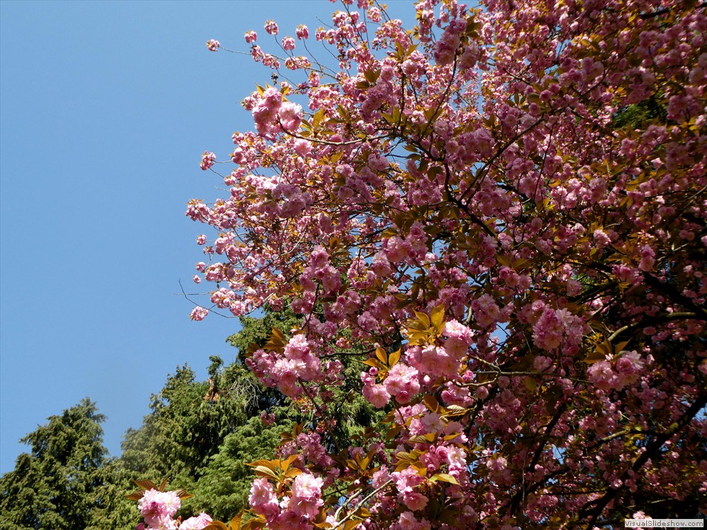 P1000878