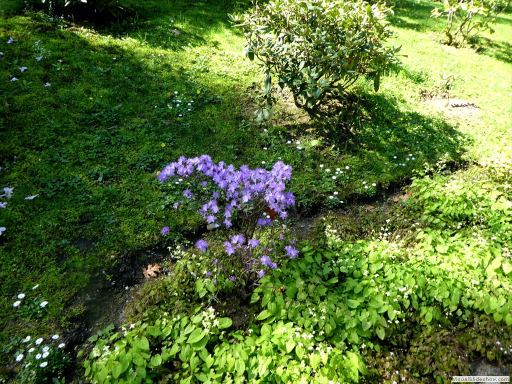 P1000890