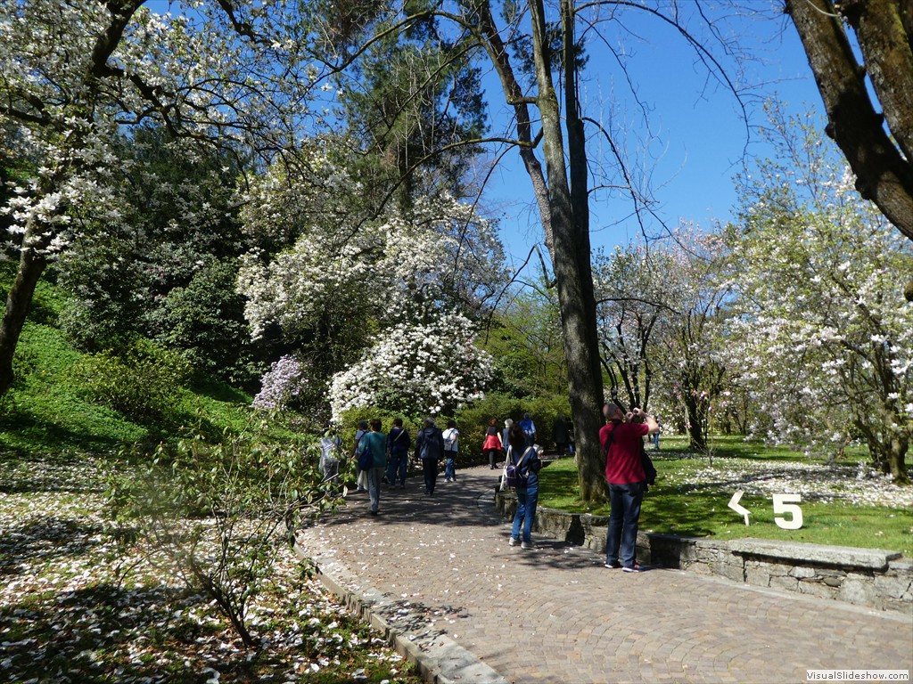 P1000891