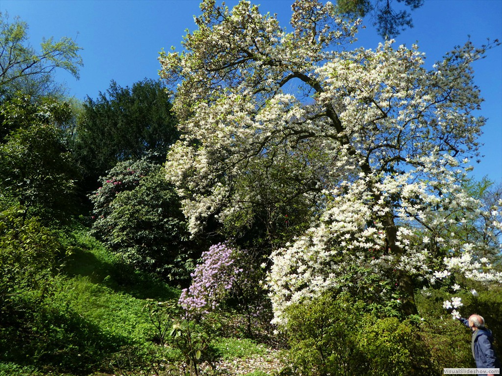 P1000892