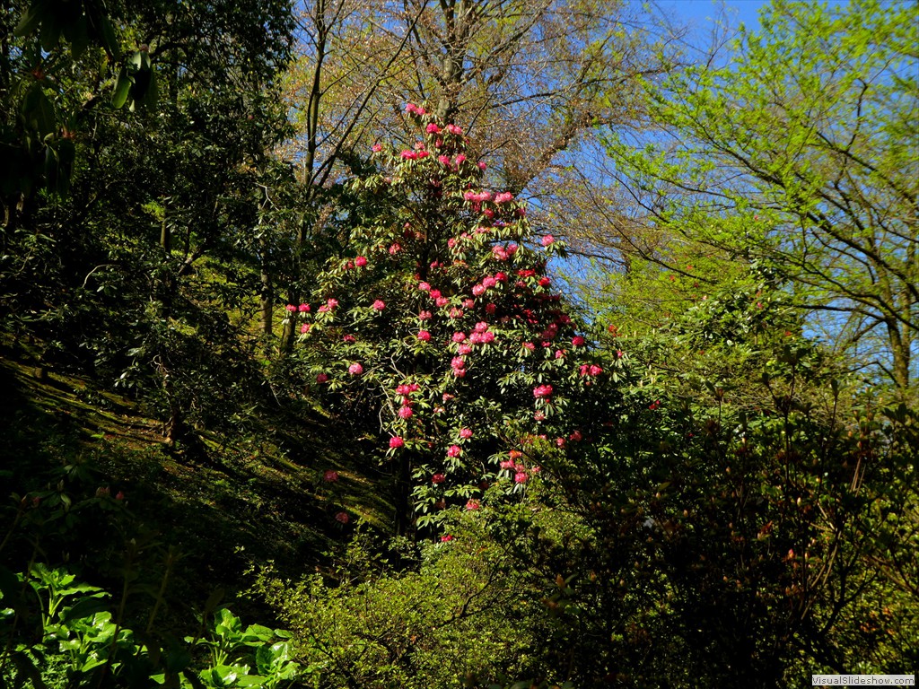 P1000896