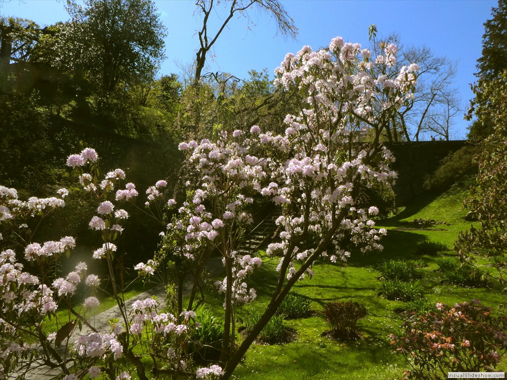 P1000900