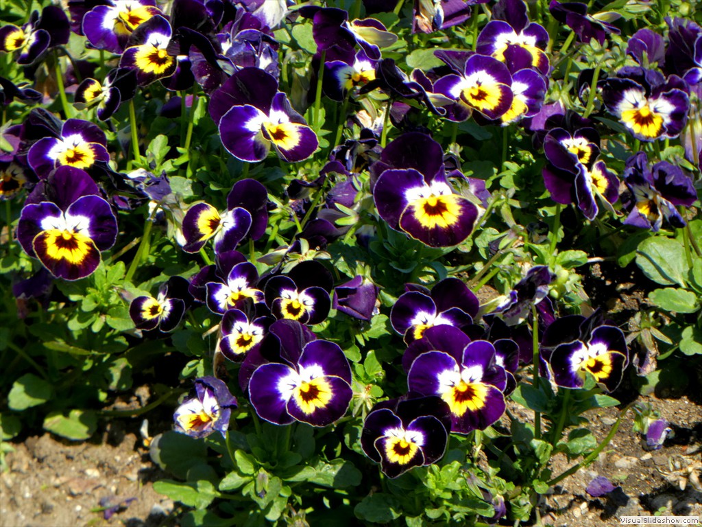 P1000913