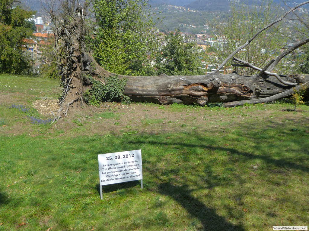 P1000924