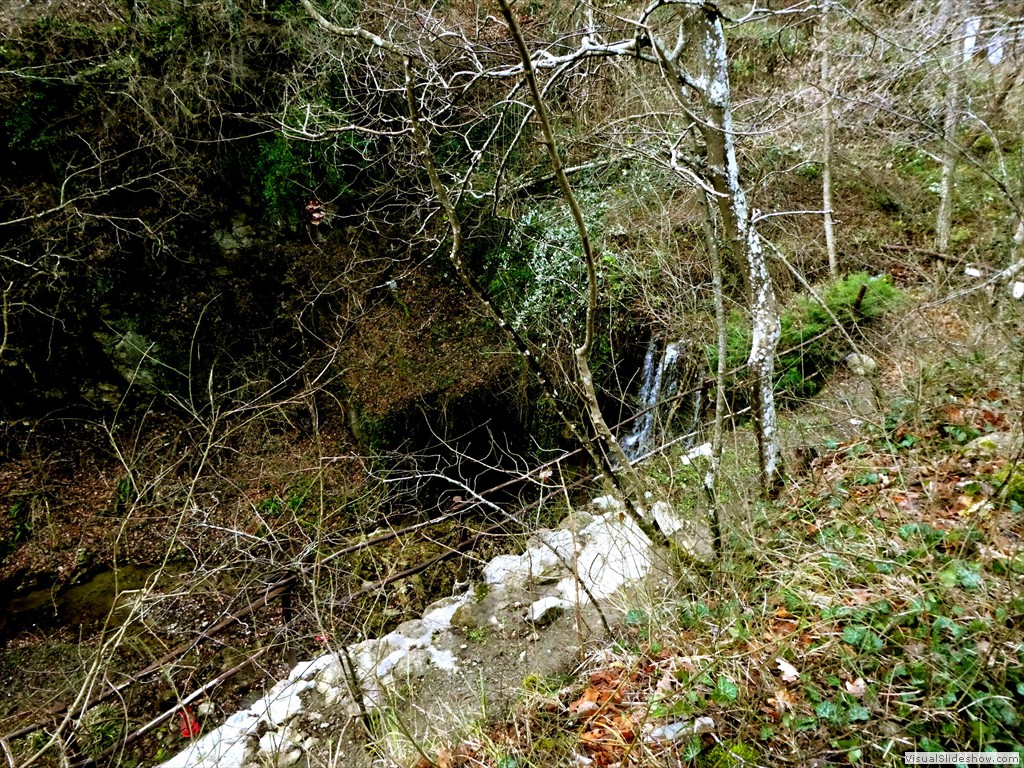 P1100501