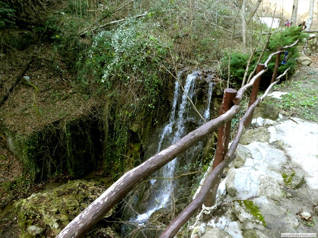 P1100503