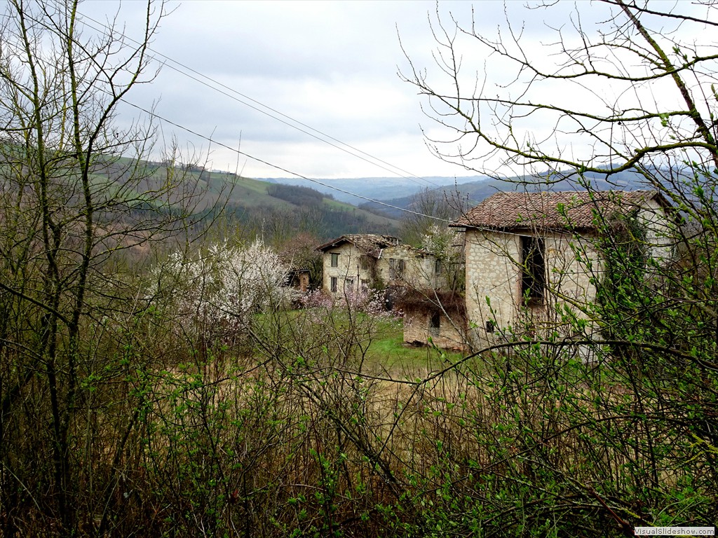 DSC02164
