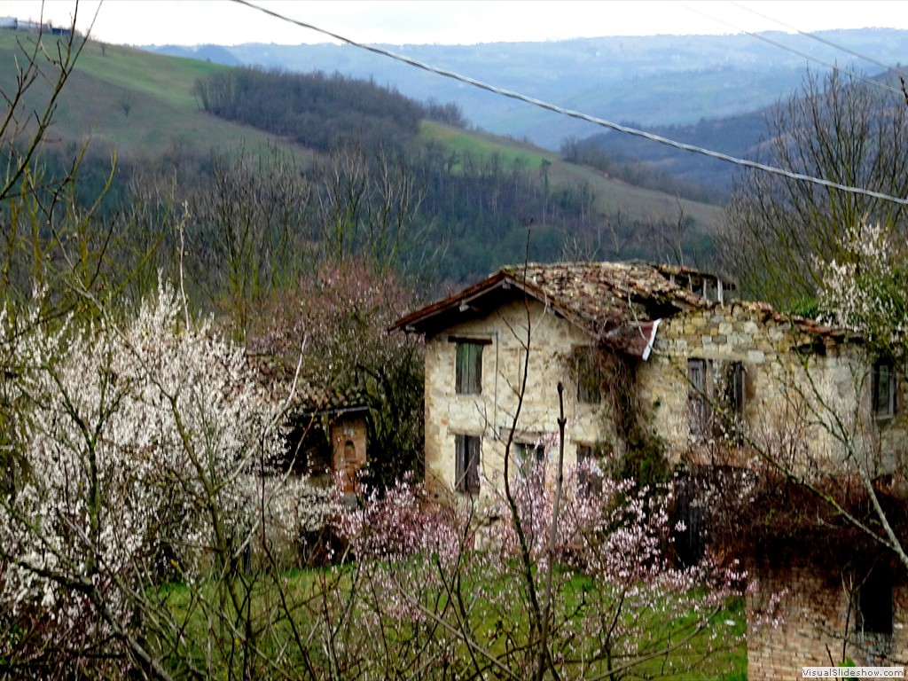 DSC02165
