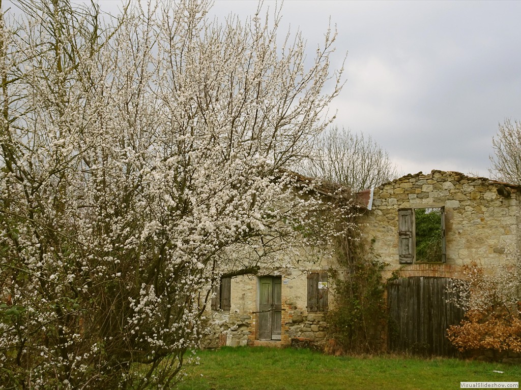 DSC02168