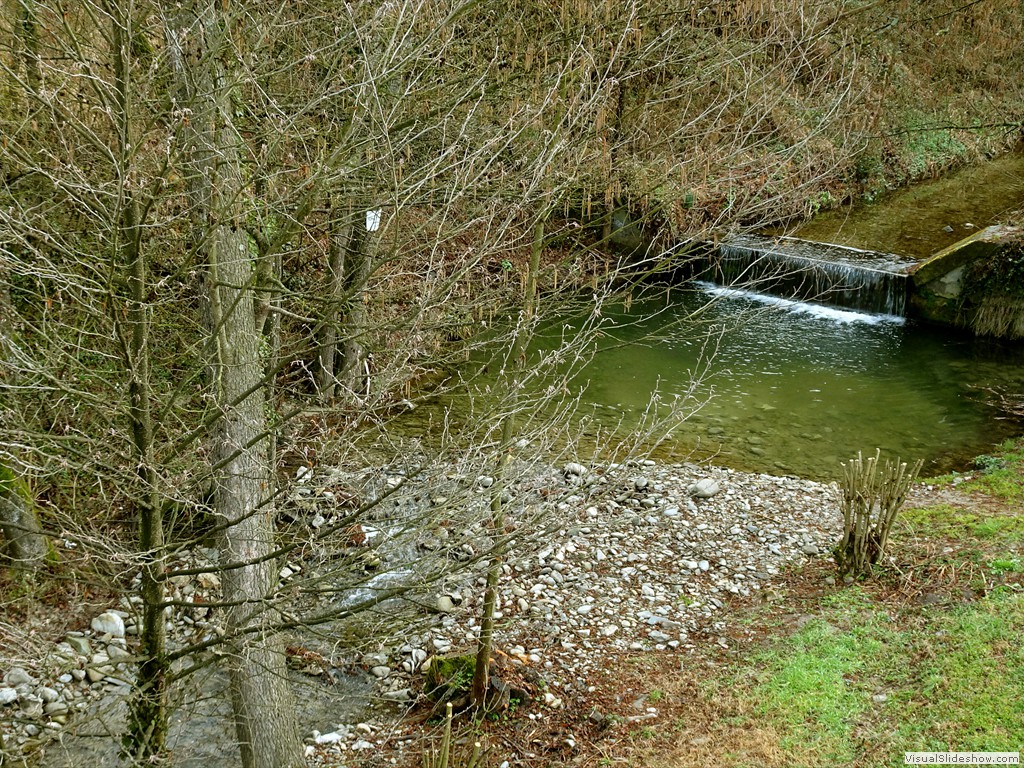 DSC02172