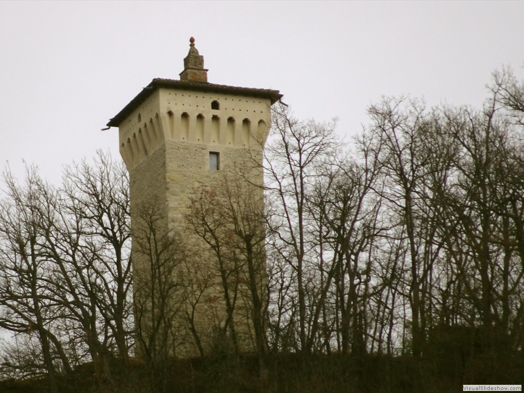 DSC02186