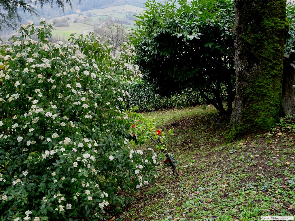 DSC02198