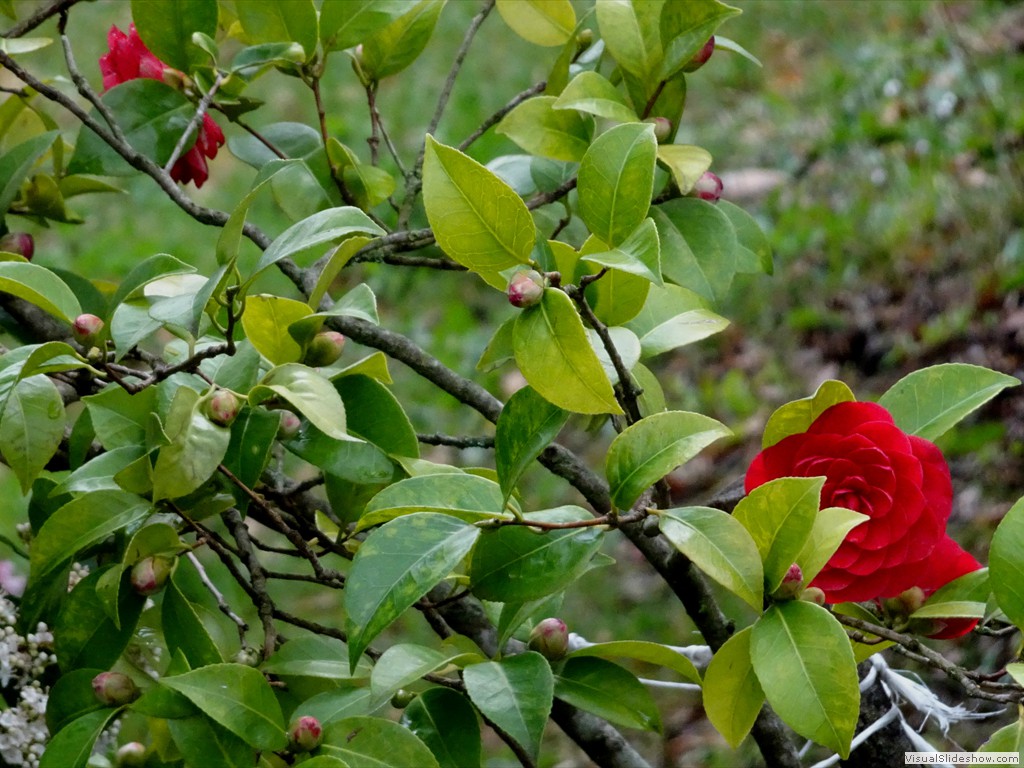 DSC02199