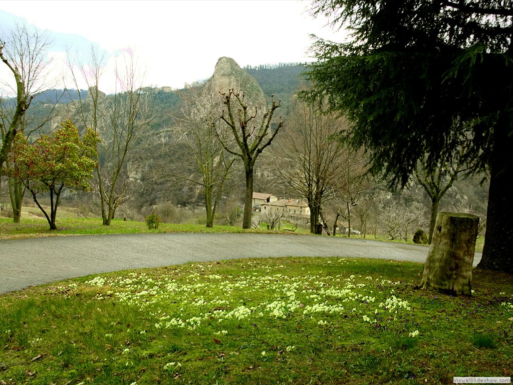 DSC02205