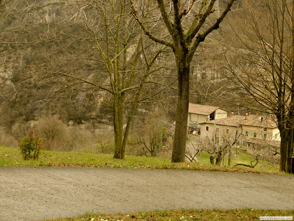 DSC02206
