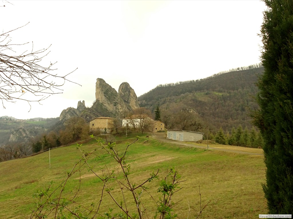 DSC02214
