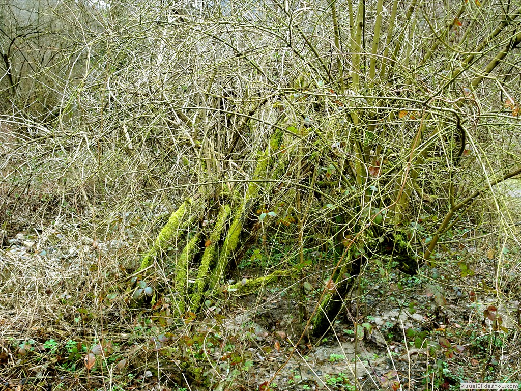 DSC02224