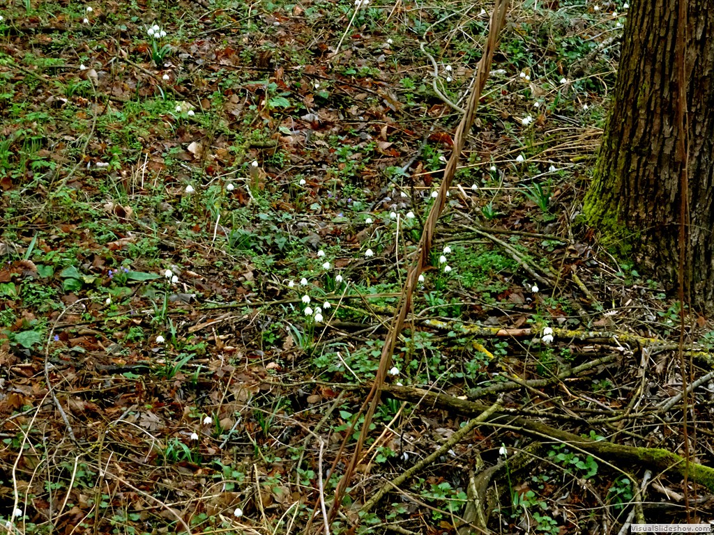 DSC02227