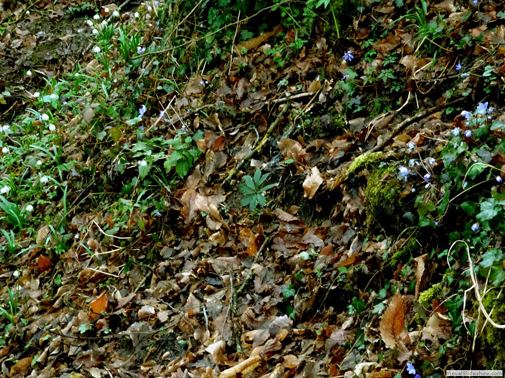 DSC02229