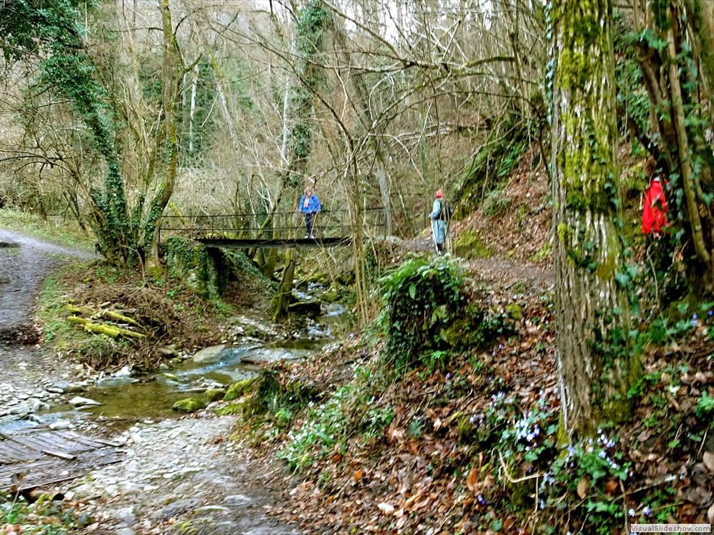 DSC02230