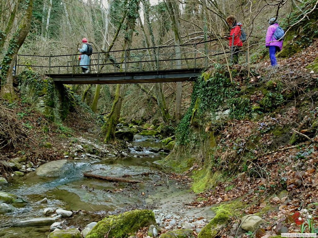 DSC02231