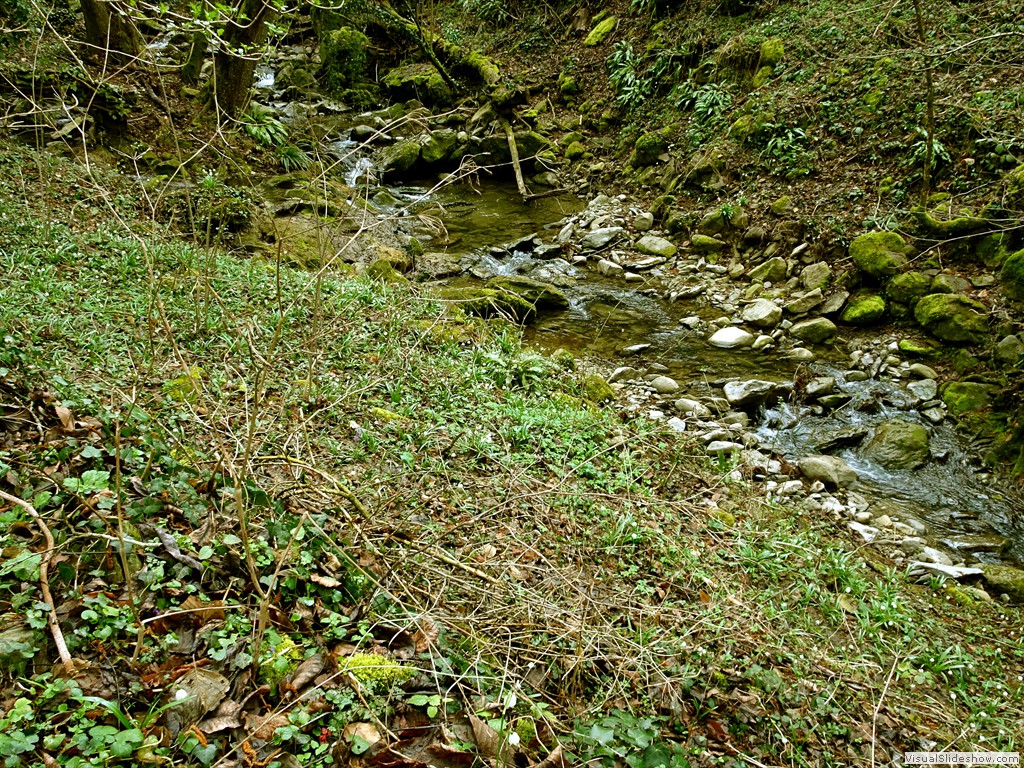 DSC02237