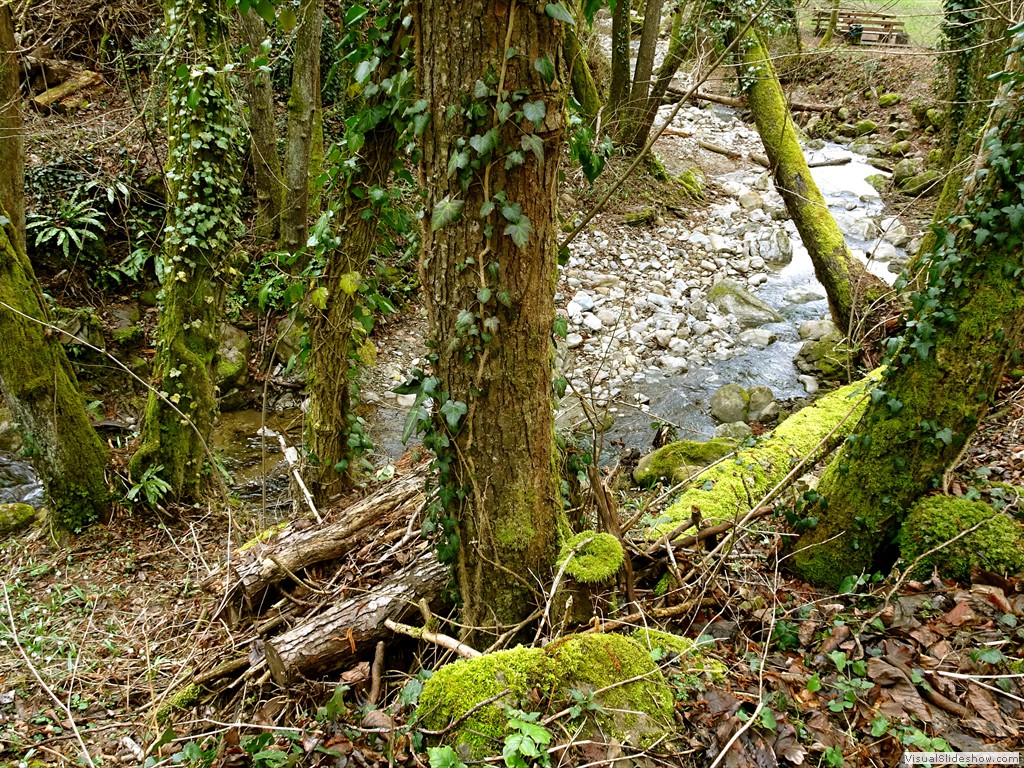 DSC02238